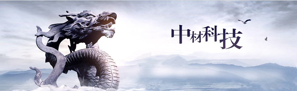 龍
